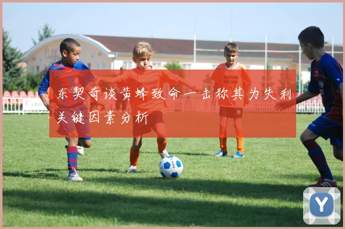 东契奇谈黄蜂致命一击称其为失利关键因素分析