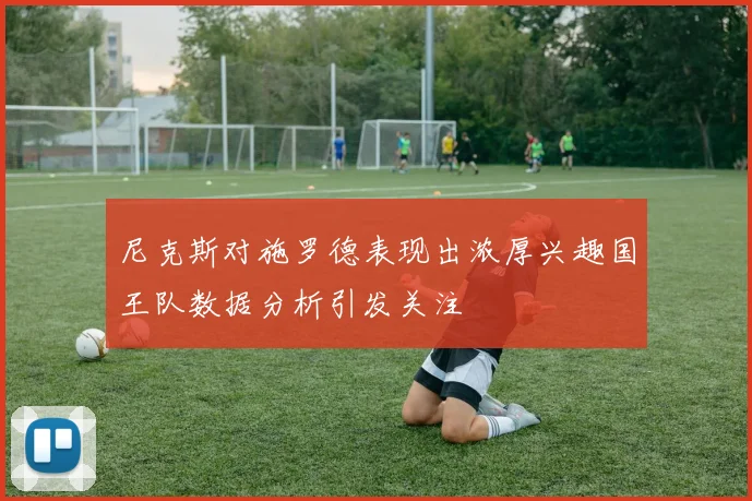 尼克斯对施罗德表现出浓厚兴趣国王队数据分析引发关注